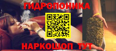 таблы Будённовск