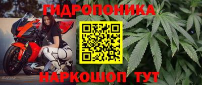 прущие грибы Бугуруслан