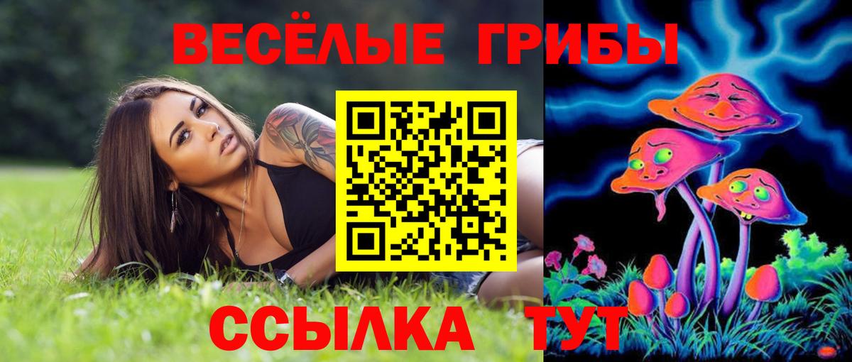 Арзамас  Псилоцибиновые грибы Psilocybine cubensis  Вход с VPN  хочу   Псилоцибиновые грибы Psilocybine cubensis 